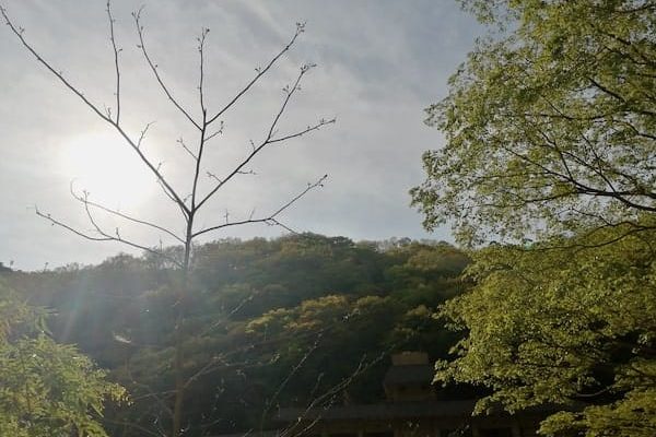 IMG_20220508_160018