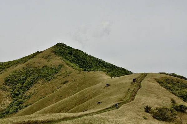 IMG_20220515_105845