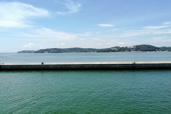 IMG_20220724_121432