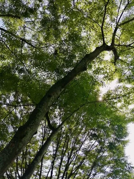 IMG_20230618_145523 (1)