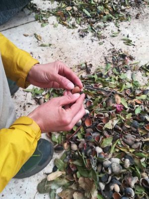 line_121649650579872